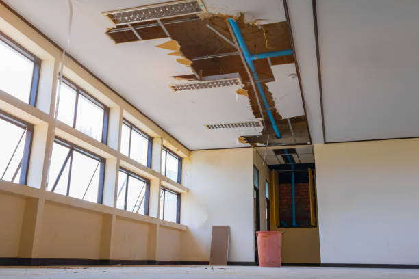 Best Water damage restoration mold remediation  in Vista Santa Rosa, CA