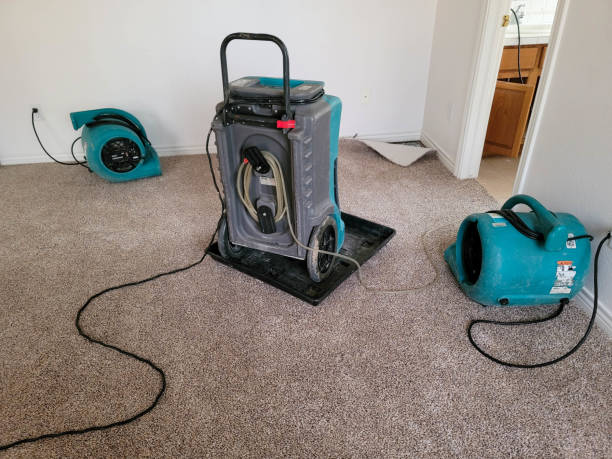 Best Ceiling water damage repair  in Vista Santa Rosa, CA