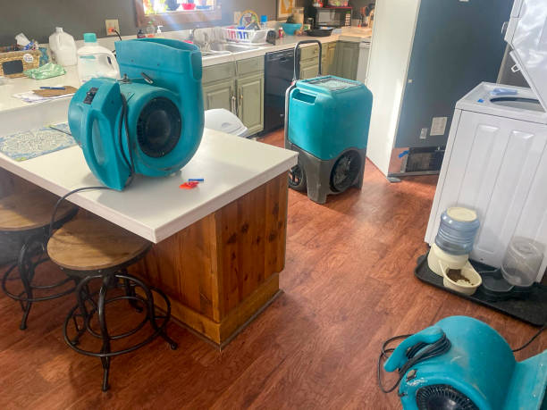 Best Water damage contractors near me  in Vista Santa Rosa, CA
