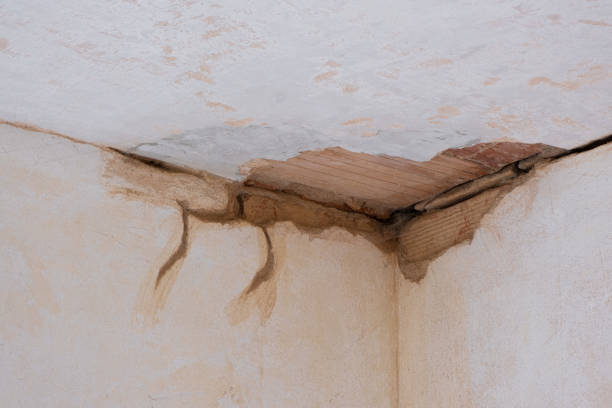Best Local water damage restoration  in Vista Santa Rosa, CA