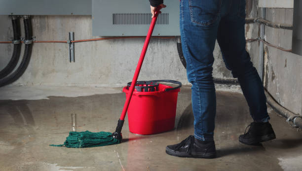 Best Water damage mitigation services  in Vista Santa Rosa, CA