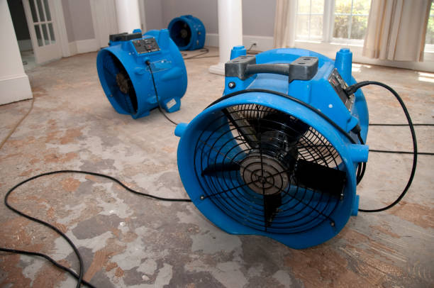 Best 24-hour water damage restoration  in Vista Santa Rosa, CA
