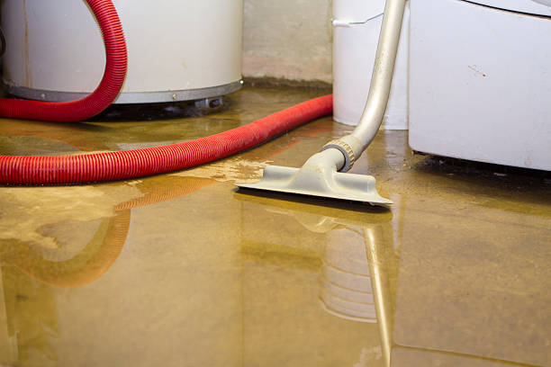 Best Basement water damage restoration  in Vista Santa Rosa, CA