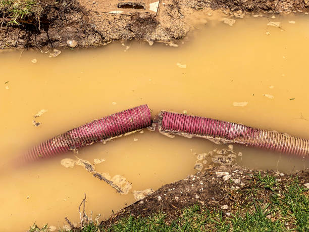 Best Professional water damage repair  in Vista Santa Rosa, CA