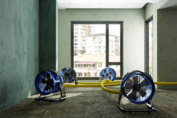 Best Water damage restoration specialists  in Vista Santa Rosa, CA